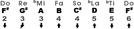 Natural Minor Scale in the Key of F#m